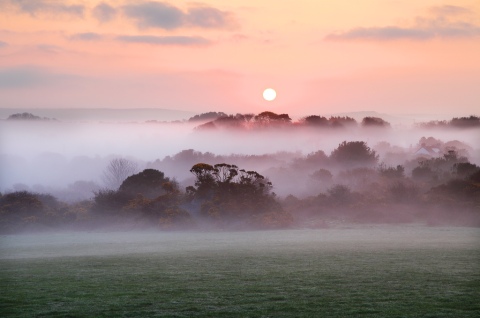 dawn mist